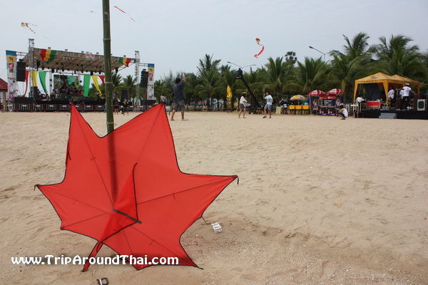 Name:  IMG_3089.jpg
Views: 4472
Size:  113.4 KB