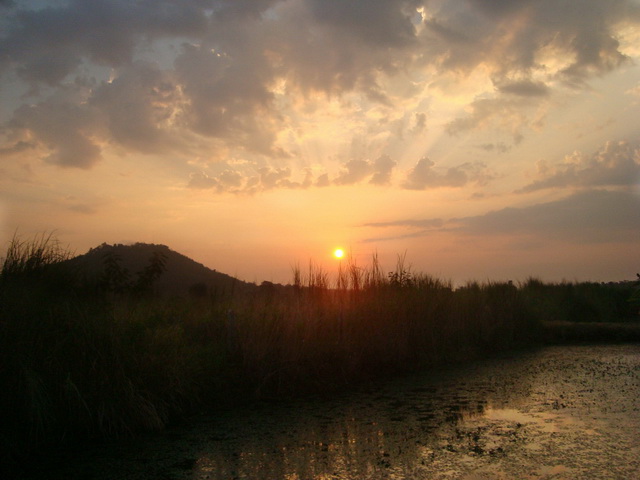 Name:  Goodmorning_resize.jpg
Views: 1611
Size:  84.8 KB