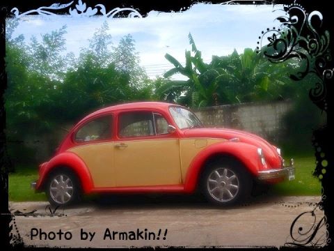 Name:  251892_4061441301753_1977503010_n.jpg
Views: 87
Size:  35.3 KB