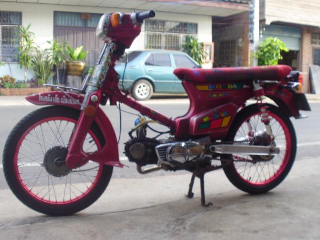 Name:  P1010187.jpg
Views: 4528
Size:  44.4 KB