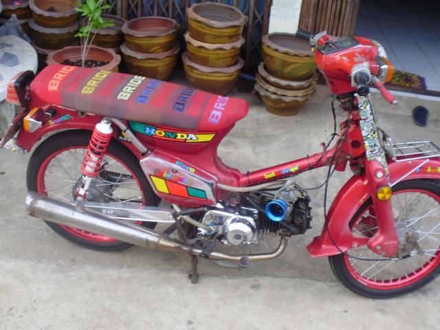 Name:  P1010189.jpg
Views: 3620
Size:  53.7 KB