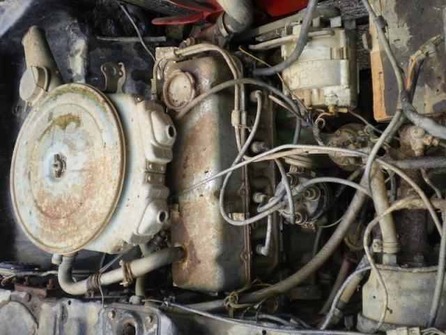 Name:  IMGP3667_resize.jpg
Views: 1084
Size:  56.9 KB