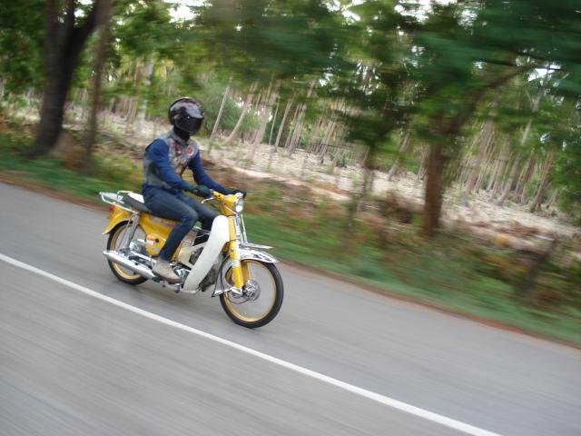 Name:  DSC02817.jpg
Views: 338
Size:  45.1 KB