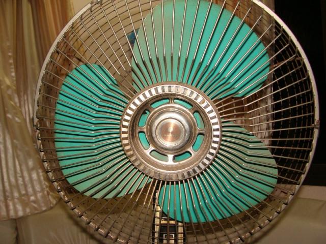 Name:  DSC07926.jpg
Views: 1961
Size:  68.9 KB