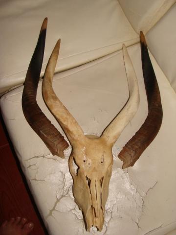 Name:  DSC07939.jpg
Views: 1886
Size:  20.1 KB