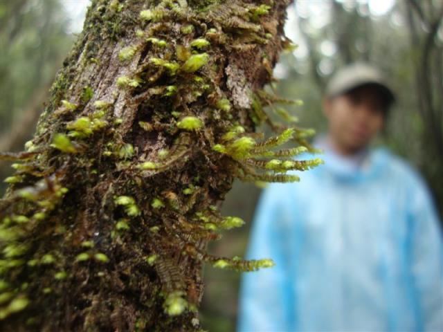 Name:  DSC06123 (Medium).jpg
Views: 1033
Size:  46.0 KB