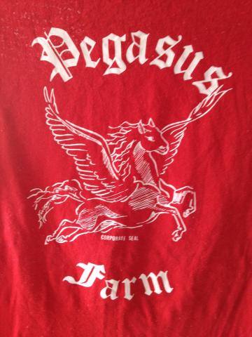 Name:  IMG_0355.jpg
Views: 324
Size:  30.4 KB