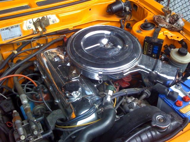 Name:  photo (99).jpg
Views: 2248
Size:  67.2 KB