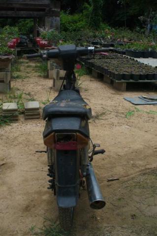 Name:  P1120216.jpg
Views: 1447
Size:  25.9 KB
