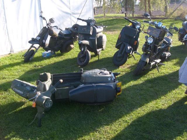 Name:  greatpic.jpg
Views: 2863
Size:  62.0 KB