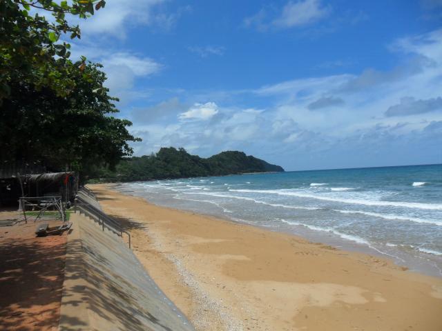 Name:  SAM_1005.jpg
Views: 765
Size:  39.3 KB