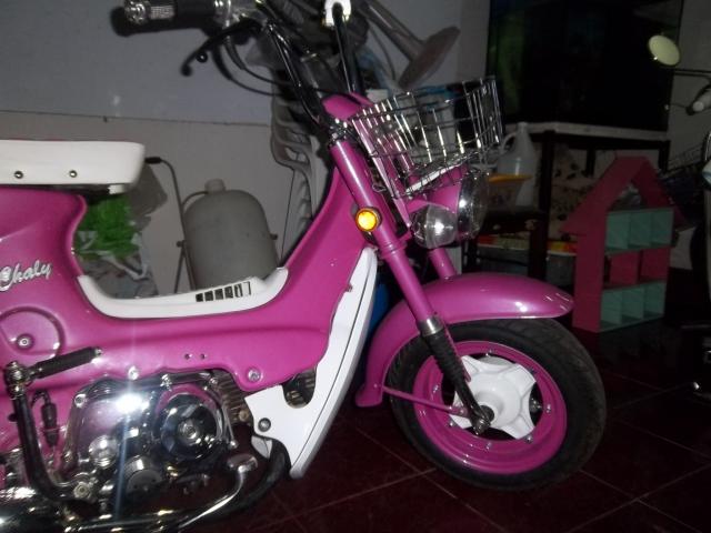 Name:  100_1416.jpg
Views: 249
Size:  42.1 KB