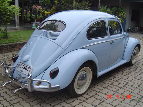 Name:  DSC06294.JPG
Views: 182
Size:  83.3 KB