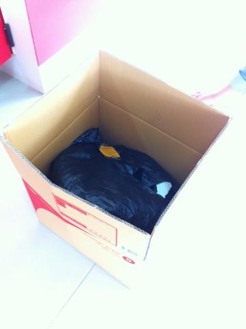 Name:  IMG_0189.jpg
Views: 833
Size:  13.0 KB