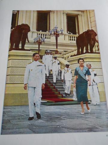 Name:  DSCN0462.jpg
Views: 1073
Size:  28.7 KB