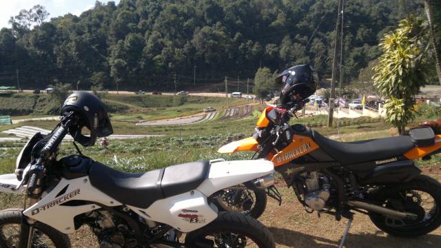 Name:  02012012565.jpg
Views: 683
Size:  51.7 KB