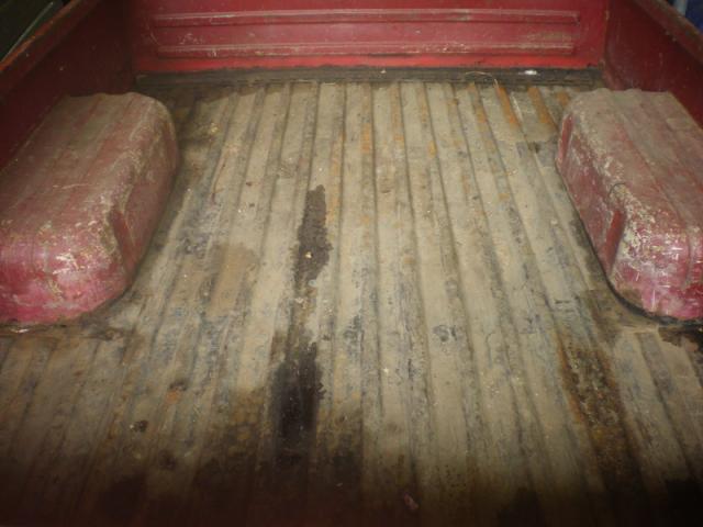 Name:  IMGP3748_resize.jpg
Views: 1825
Size:  37.0 KB