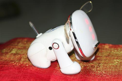 Name:  IMG_0555 (Custom).JPG
Views: 1796
Size:  46.0 KB
