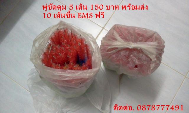 Name:  255332_432075810170531_407520229_n.jpg
Views: 280
Size:  29.4 KB