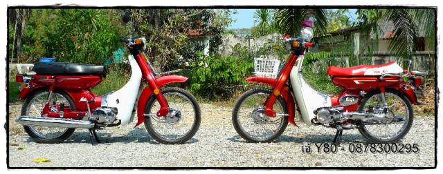 Name:  y80P1110162.1.jpg
Views: 1810
Size:  53.7 KB