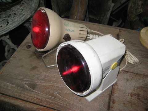 Name:  IMG_5353.jpg
Views: 601
Size:  76.4 KB