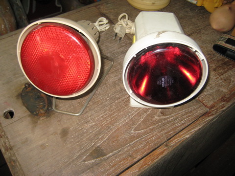 Name:  IMG_5354.jpg
Views: 597
Size:  90.5 KB