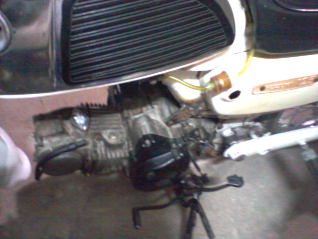 Name:  Photo-01277.jpg
Views: 774
Size:  128.4 KB