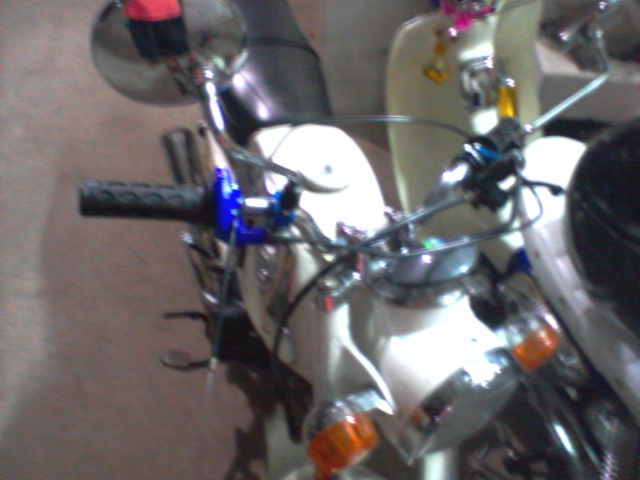 Name:  Photo-01299.jpg
Views: 731
Size:  107.1 KB