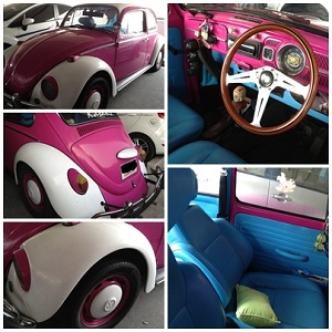 Name:  folk.jpg
Views: 993
Size:  47.7 KB