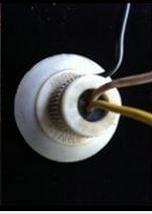 Name:  capture-20120728-133851.png
Views: 285
Size:  57.6 KB