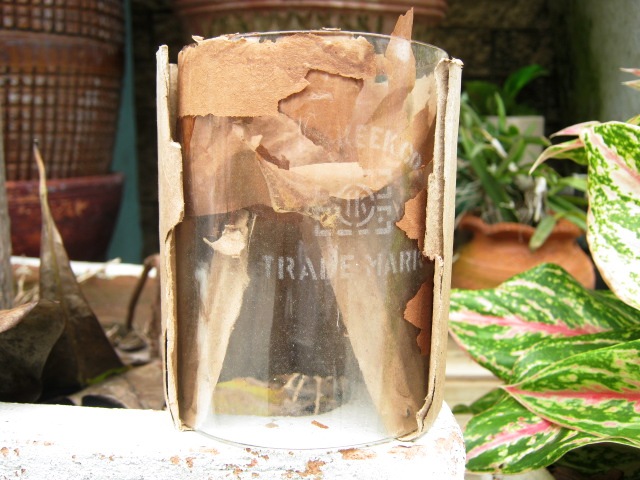 Name:  IMG_0012.JPG
Views: 902
Size:  113.1 KB