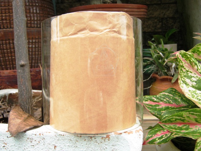 Name:  IMG_0010.JPG
Views: 917
Size:  111.9 KB