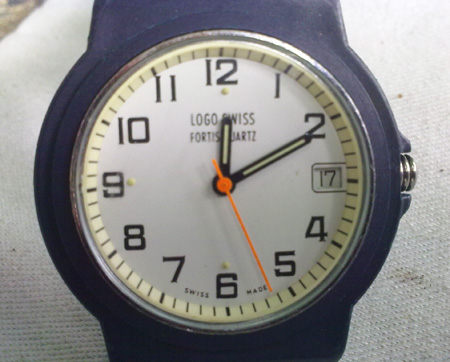 Name:  fortis1.jpg
Views: 1293
Size:  78.6 KB