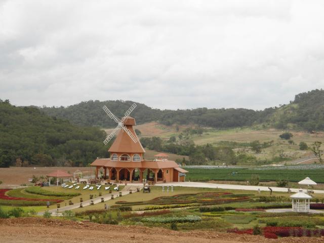 Name:  DSC01280.jpg
Views: 2211
Size:  38.5 KB