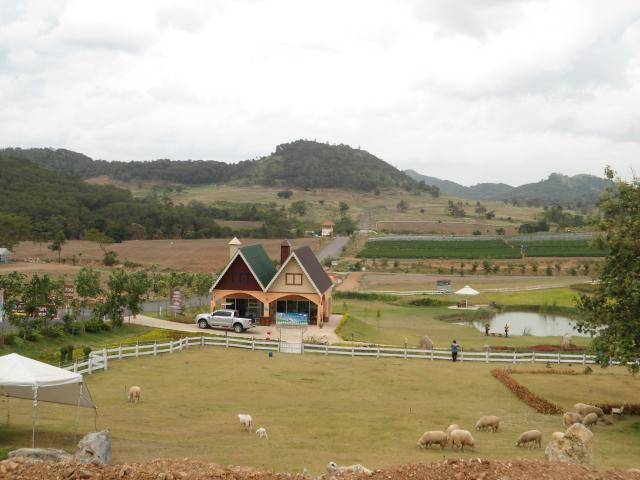Name:  DSC01294.jpg
Views: 2187
Size:  40.5 KB