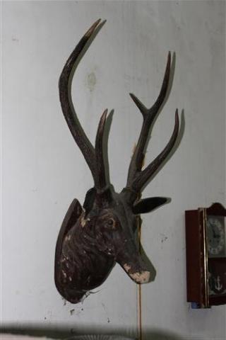 Name:  IMG_1044 (Custom).jpg
Views: 2031
Size:  15.0 KB