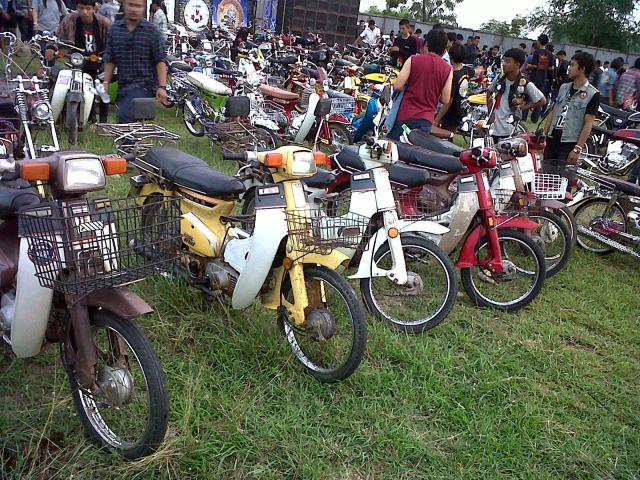 Name:  IMG00496-20120804-1826.jpg
Views: 4395
Size:  108.0 KB