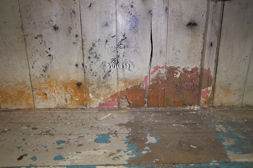 Name:  100_0510 o low.jpg
Views: 916
Size:  101.7 KB