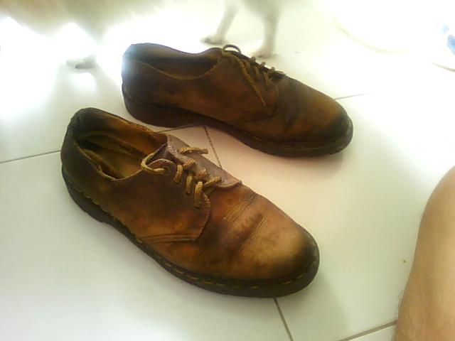 Name:  Picture 010.jpg
Views: 717
Size:  22.6 KB