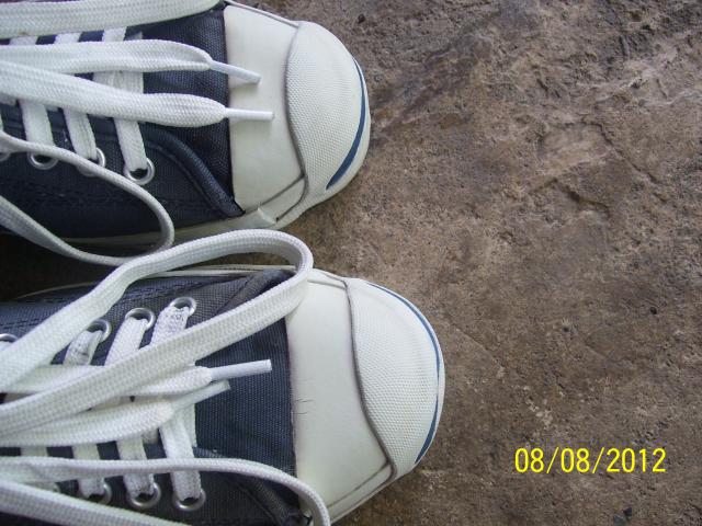 Name:  100_1454.jpg
Views: 975
Size:  58.2 KB