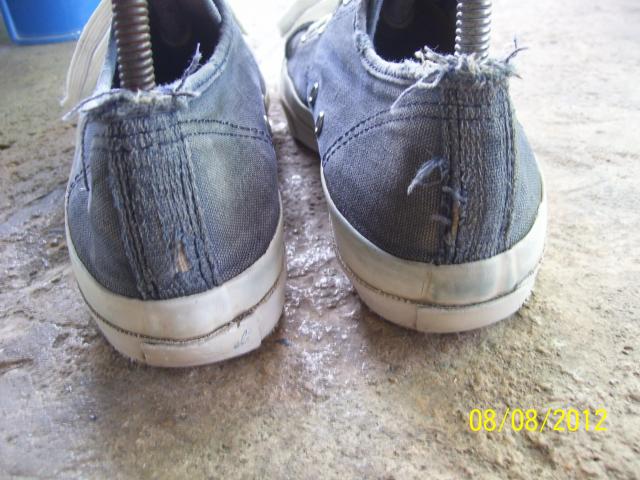 Name:  100_1447.jpg
Views: 965
Size:  54.7 KB