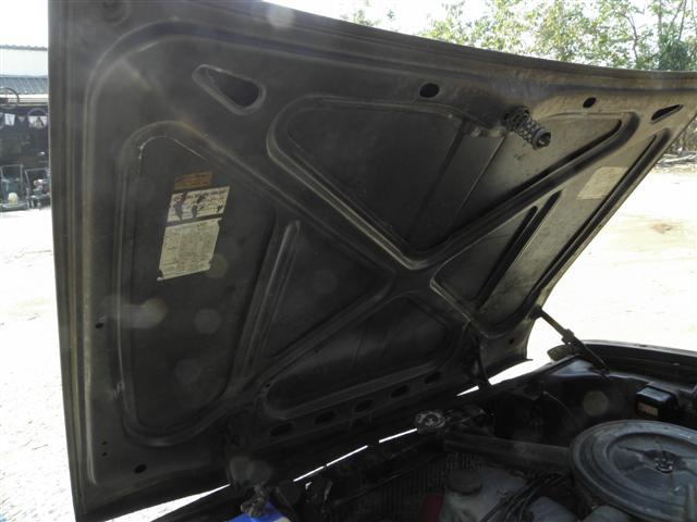 Name:  P2091948 (Small).JPG
Views: 1654
Size:  43.7 KB