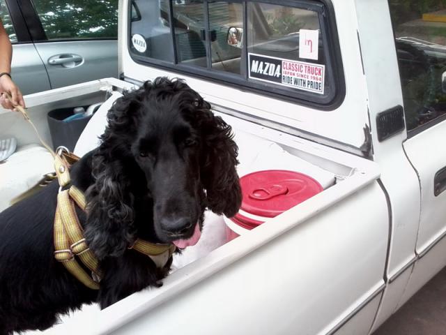 Name:  ٻ1325.jpg
Views: 92
Size:  43.9 KB