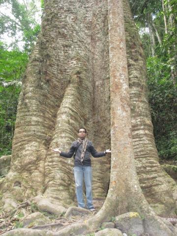 Name:  IMG_7008.jpg
Views: 740
Size:  45.1 KB