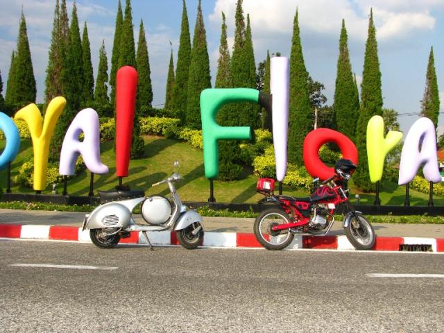 Name:  IMG_7037.jpg
Views: 610
Size:  68.3 KB