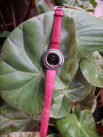 Name:  SANY4986.JPG
Views: 587
Size:  81.6 KB