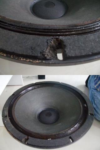 Name:  SANY4911-vert.jpg
Views: 624
Size:  19.4 KB