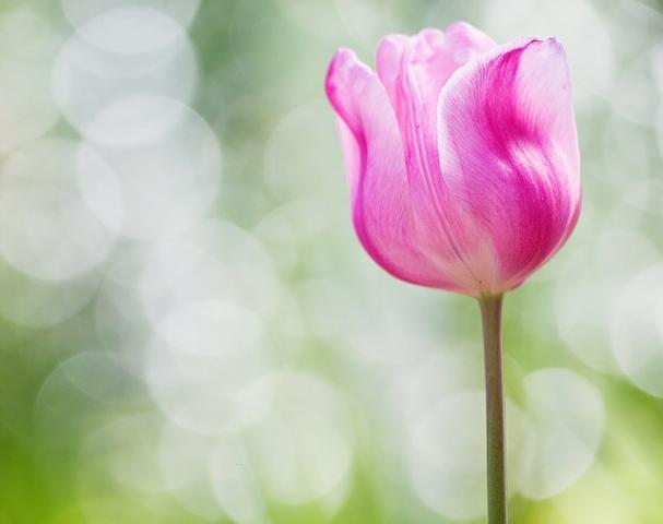 Name:  blog-121531-0-381136-02087.jpg
Views: 295
Size:  19.5 KB