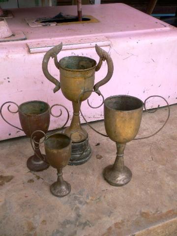 Name:  P1120124.jpg
Views: 804
Size:  26.9 KB
