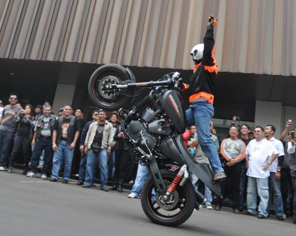 Name:  DSC_6340.jpg
Views: 626
Size:  44.9 KB